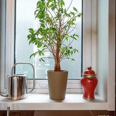 Apartment Host' In Ria